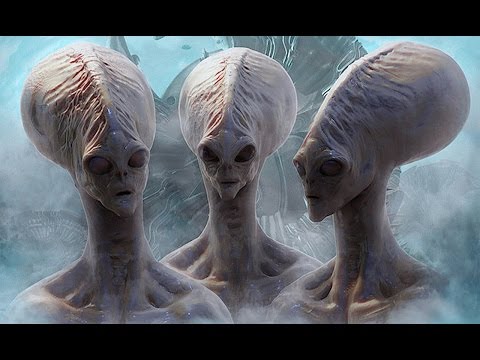 ASNM - 6 Alien Species Currently Fighting for Control Over Earth