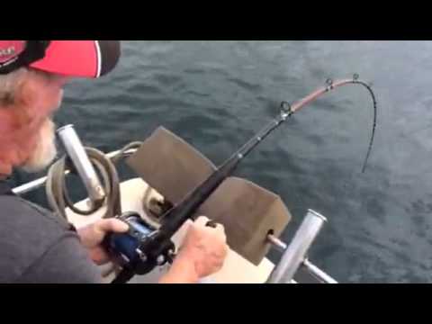 Shark Steals Fish off Fisherman's Line