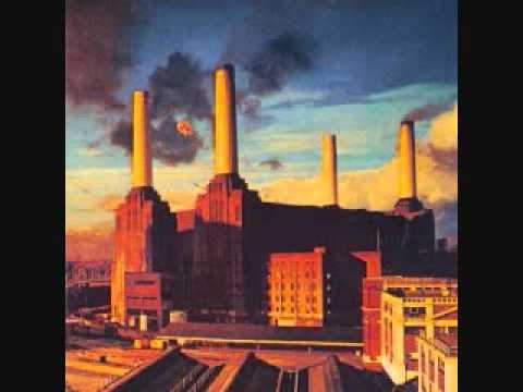 Pink Floyd - Sheep (lyrics)