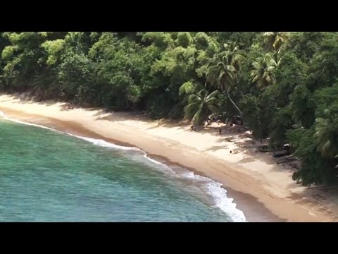 Tobago (travel-documentary from the season "Caribbean Moments")