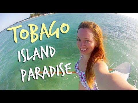 TOBAGO ISLAND PARADISE