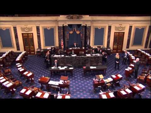 Raw Video: Spectator Disturbs U.S. Senate