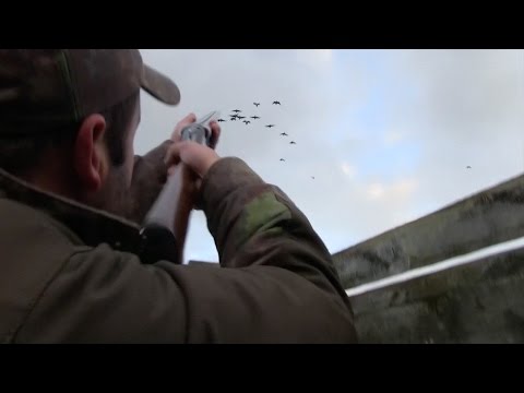 The Shooting Show – geese and grouse in Scotland PLUS the Anschütz 1770