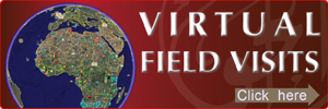 virtual.field