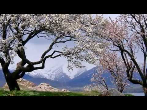 Kurdish Music - Zagros Mountains