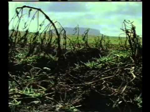 The Great Famine - Part 1 of 2 (BBC 1995)