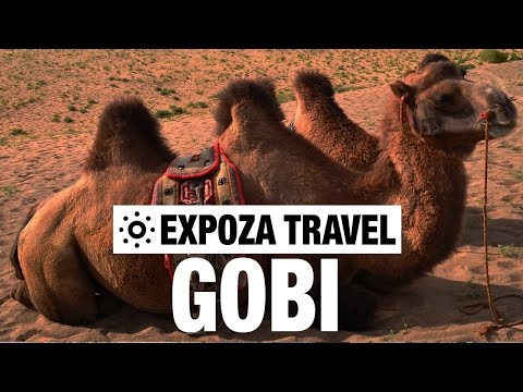 Gobi Desert Travel Video Guide