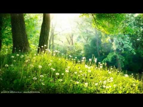 9 HOURS of Relaxing music - Meditation,Sleep,Spa,Study,Reiki,Massage,Ayurveda,Qigong,Tai-Chi