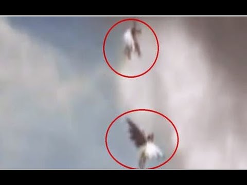 2 Angels Caught On Camera Flying In Brazil | December 2, 2014