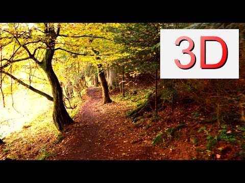 Ultra HD 3D Film: SEPTEMBER FOREST WALK (4K Resolution)