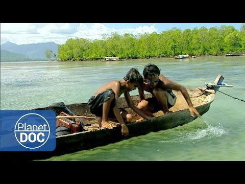 Indonesia. Bajau (Sea Gypsies Tribe) | Tribes & Ethnic Groups