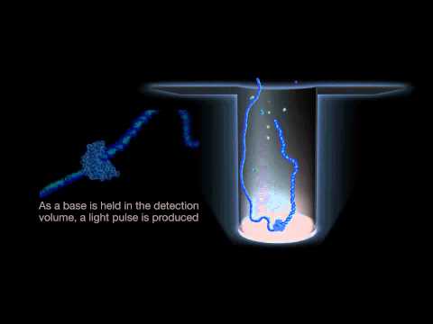 Introduction to SMRT Sequencing