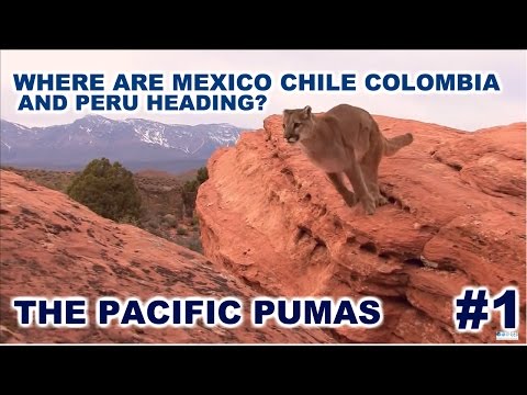 The Pacific Pumas | Economic Developments in Chile, Mexico, Colombia and Peru 1