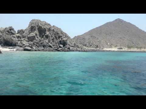 Shark Island - KhorFakkan UAE شارك ايلاند - خورفكان