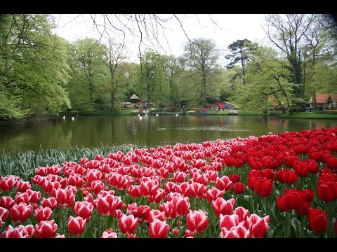 Video Travel Guide: Netherlands - 10 Top Tourist Attractions