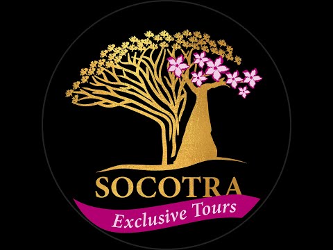 Socotra 2015