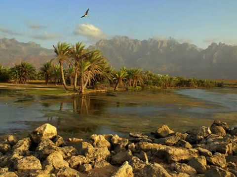 Socotra