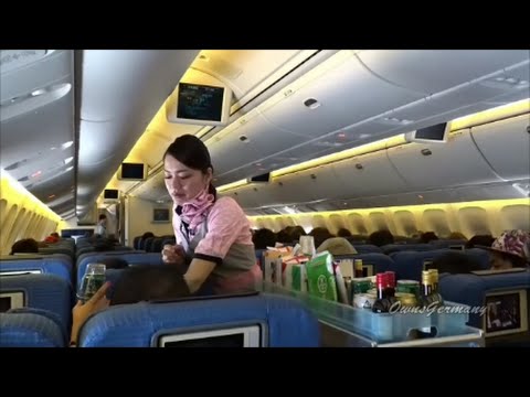 Older ANA 767 Economy Class Full Flight From Manila to Narita