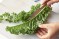 How to make baked kale chips