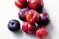 Ten secrets of plums