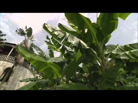 Over the Islands of Africa - Sao Tomé