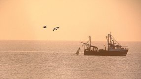 A fishing trawler lowers its nets off Rush (Pic: Bernard Gillespie)