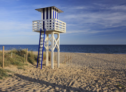 High-Tech Shark Solutions Sidelined For Baywatch-Style Binocular Towers