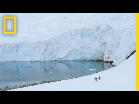 See the Extreme Ice Changes Near the Antarctic Peninsula