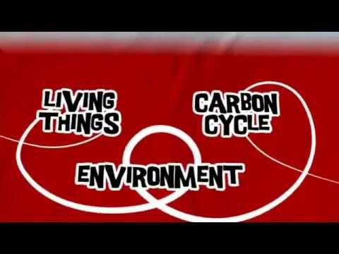 AQA GCSE BBC Bitesize - The Carbon Cycle