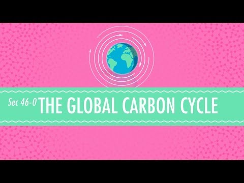 The Global Carbon Cycle - Crash Course Chemistry #46