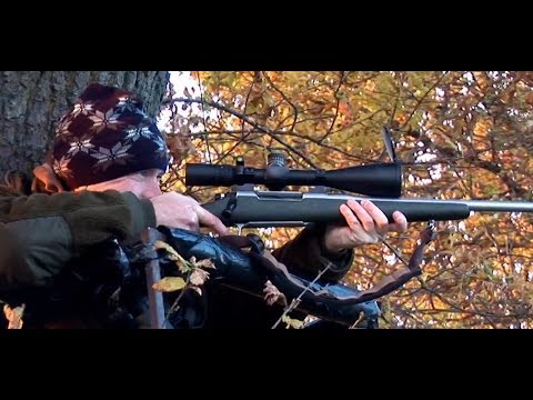 The Shooting Show -- Fallow deer cull and Burton Agnes pheasants