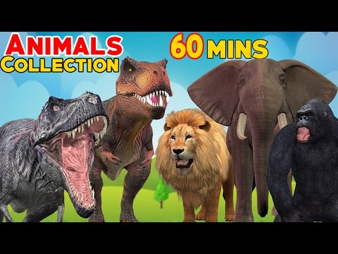 Animals Cartoons Finger Family Children Nursery Rhymes | Animals Finger Family Rhymes for Children