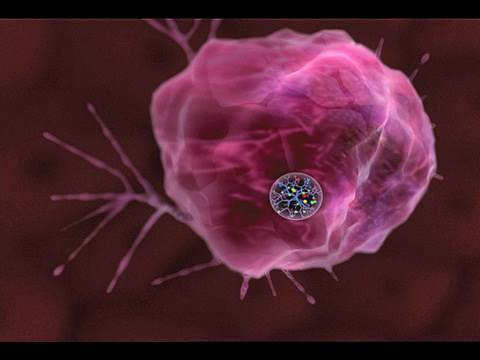 National Cancer Institute: Video Journey Into Nanotechnology