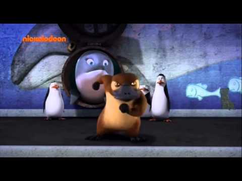 the penguins of madagascar - The Penguin Who Loved