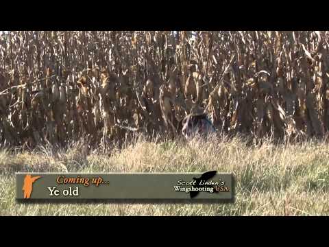 Wingshooting USA: Kansas hunting adventure with Scott Linden & Gov. Sam Brownback