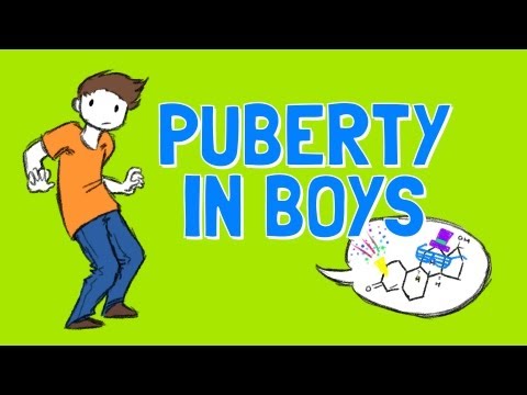 All About Boys Puberty