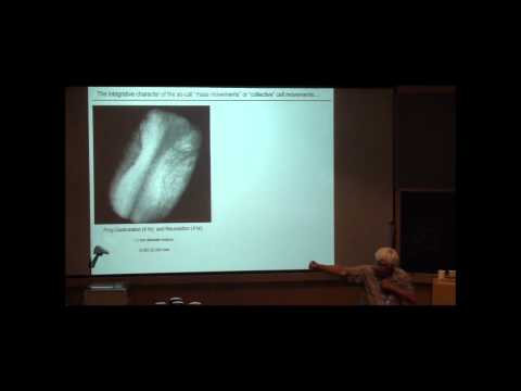 GEM4 2012 @ MIT - Developmental Biology I