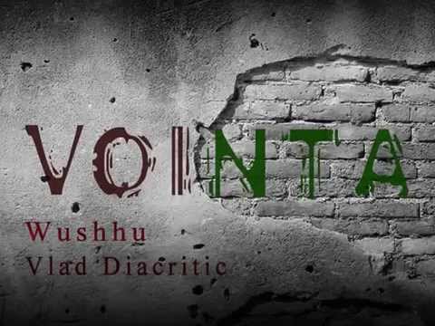 Wushhu & Vlad Diacritic - Vointa