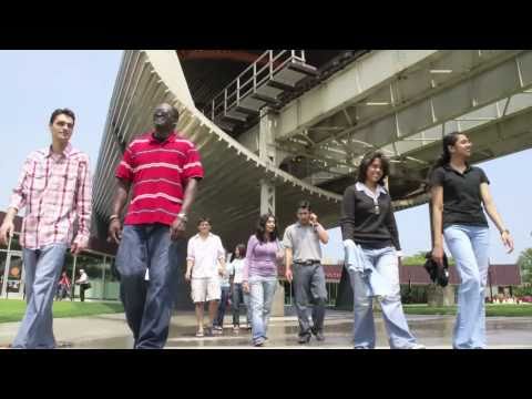 Illinois Institute of Technology: A Vibrant Campus in a Global City