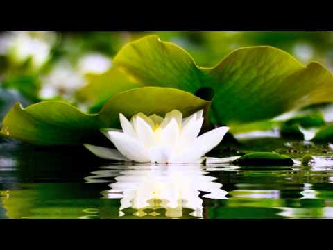 2 HOURS of BEST Buddha Meditation Song ♥ Buddhism Music, Buddhist Songs, Mantra, Zen, Yoga Music