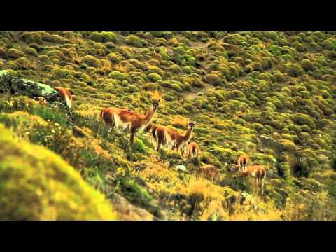 Chile Travel - Chile Promotional Video