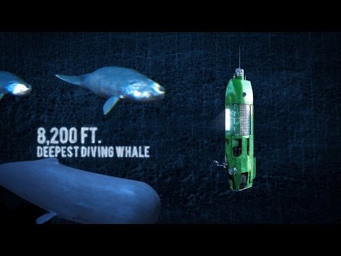 Long Way Down: Mariana Trench