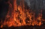 NSW Rural Fire Service crews struggle to contain an out of control bushfire around the Wentworth Falls escarpment in August.