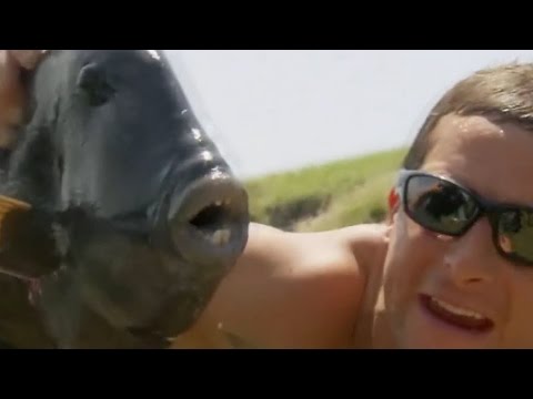 Man vs Wild with Bear Grylls S04E08 - Pacific Island