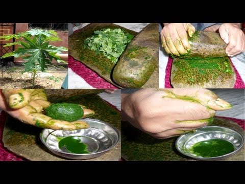 Preparation of Papaya leaf juice for curing dengue fever