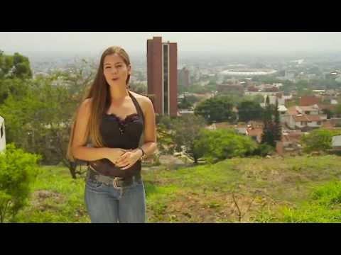 GANADOR Premio Alfonso Bonilla Aragón 2014 - Feria de Cali # 56, (Cultura y Tradición) - Tiempo Real