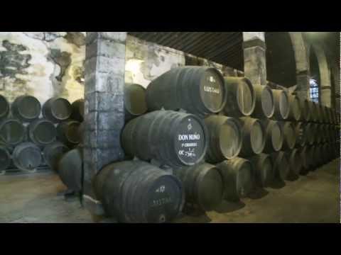 Sherry Wine of Andalucía