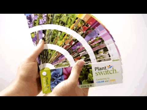 Plantswatch by color and hardiness zone