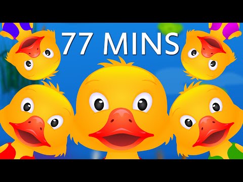 Five Little Ducks and Many More Numbers Songs | Number Nursery Rhymes Collection by ChuChu TV