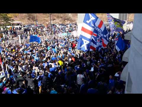 Suwon blue wings fans